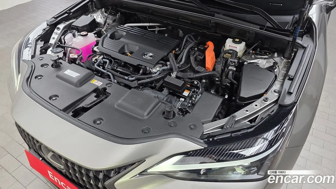 Lexus NX 2025 из KR, фото 6
