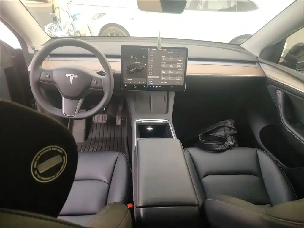 Tesla Model Y — фото 10