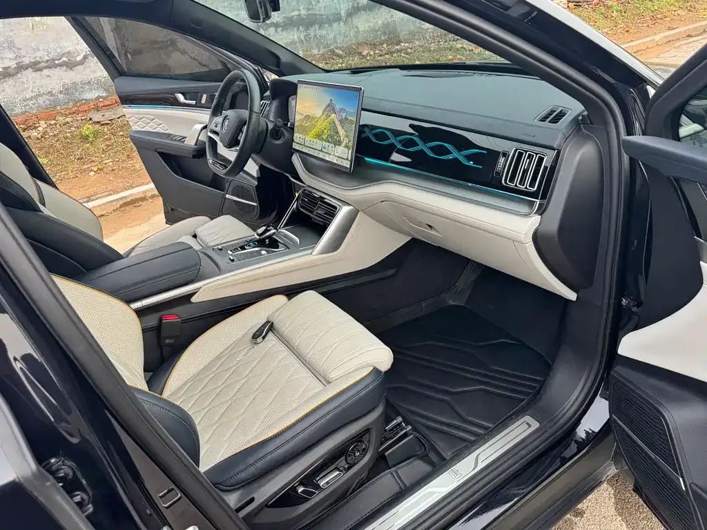 BYD Tang New Energy 2024 из CN, фото 10