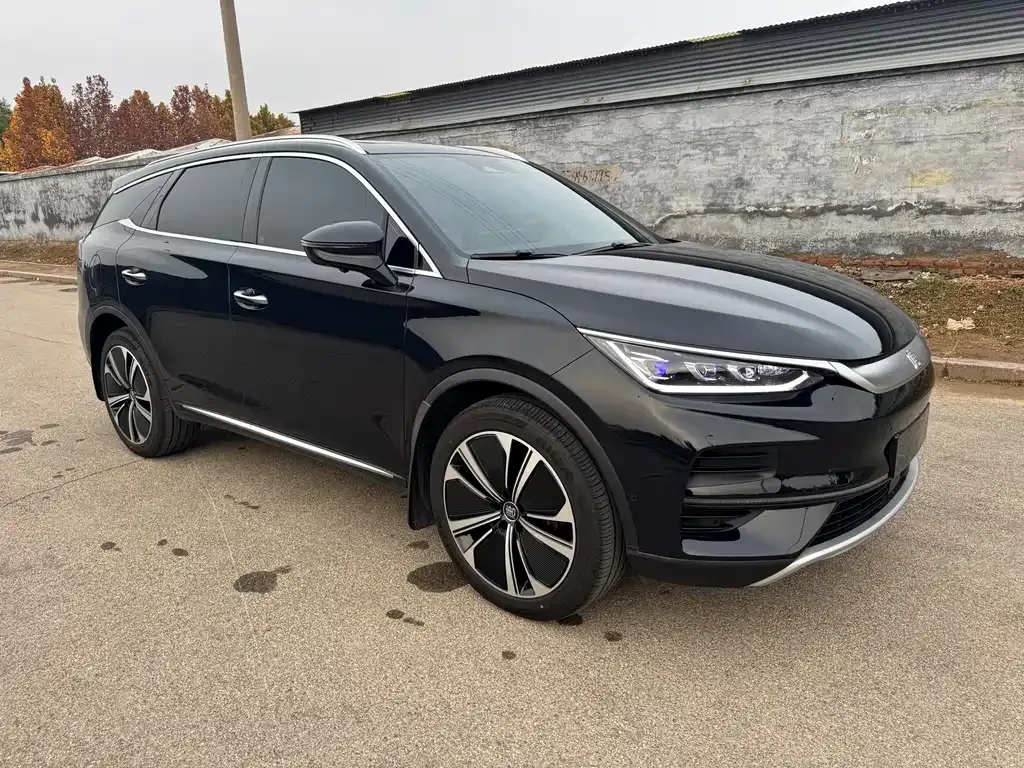 BYD Tang New Energy 2024 из CN, фото 2