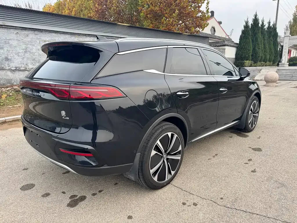 BYD Tang New Energy 2024 из CN, фото 3