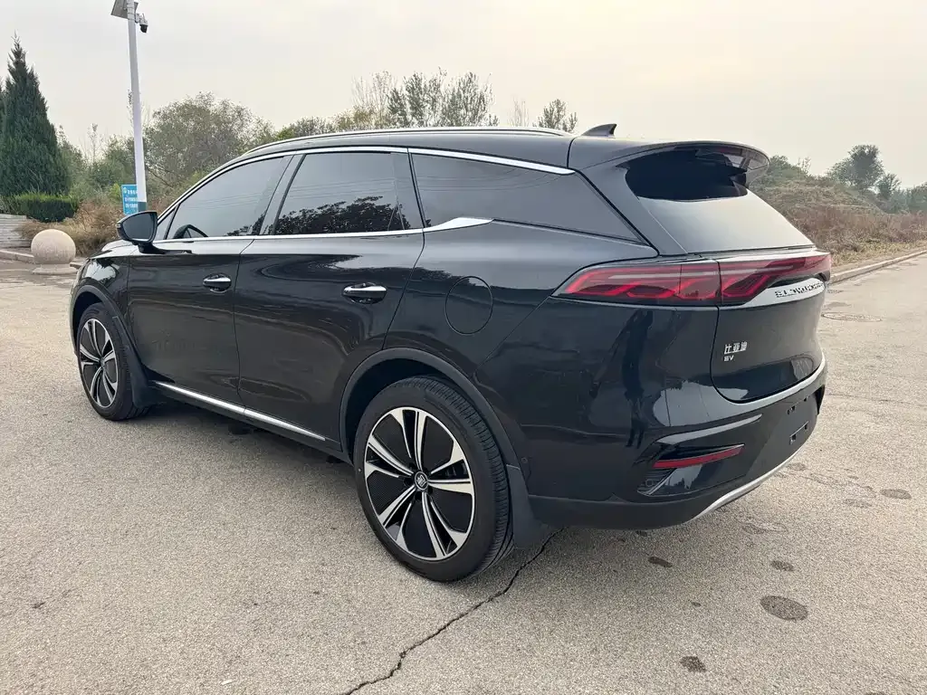 BYD Tang New Energy 2024 из CN, фото 4