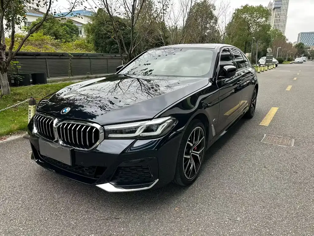 BMW 5 Series 2021 из CN, фото 1
