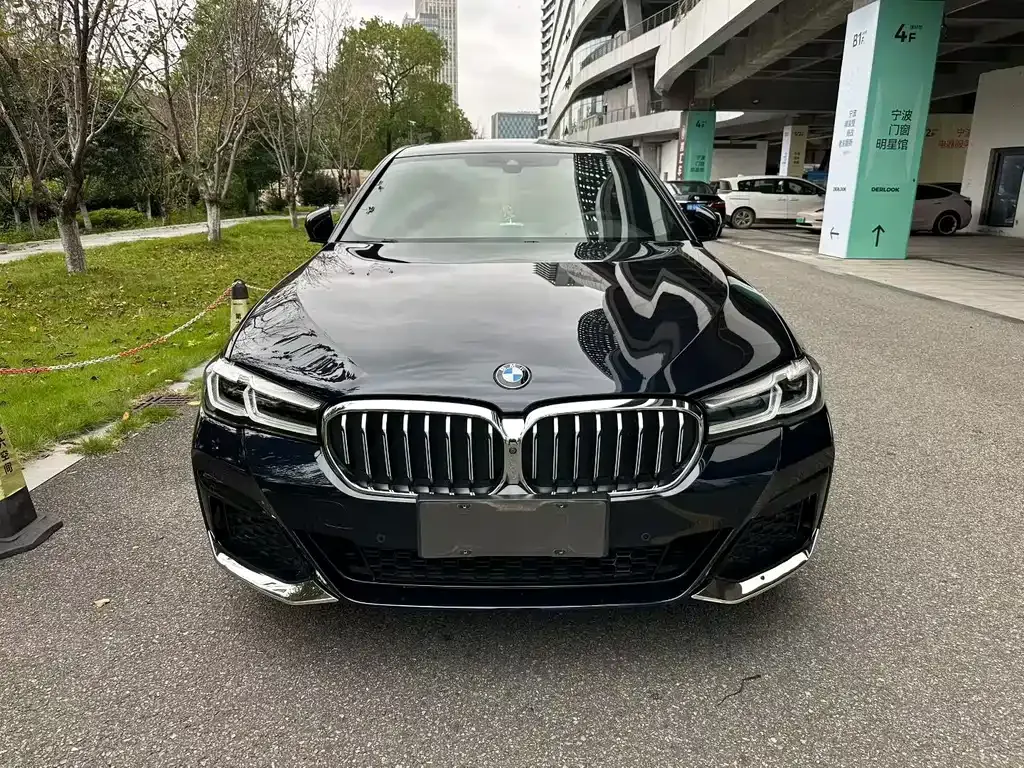BMW 5 Series 2021 из CN, фото 2