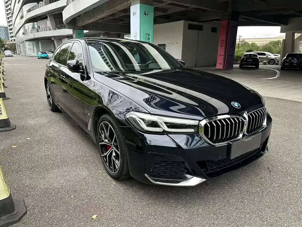 BMW 5 Series 2021 из CN, фото 3