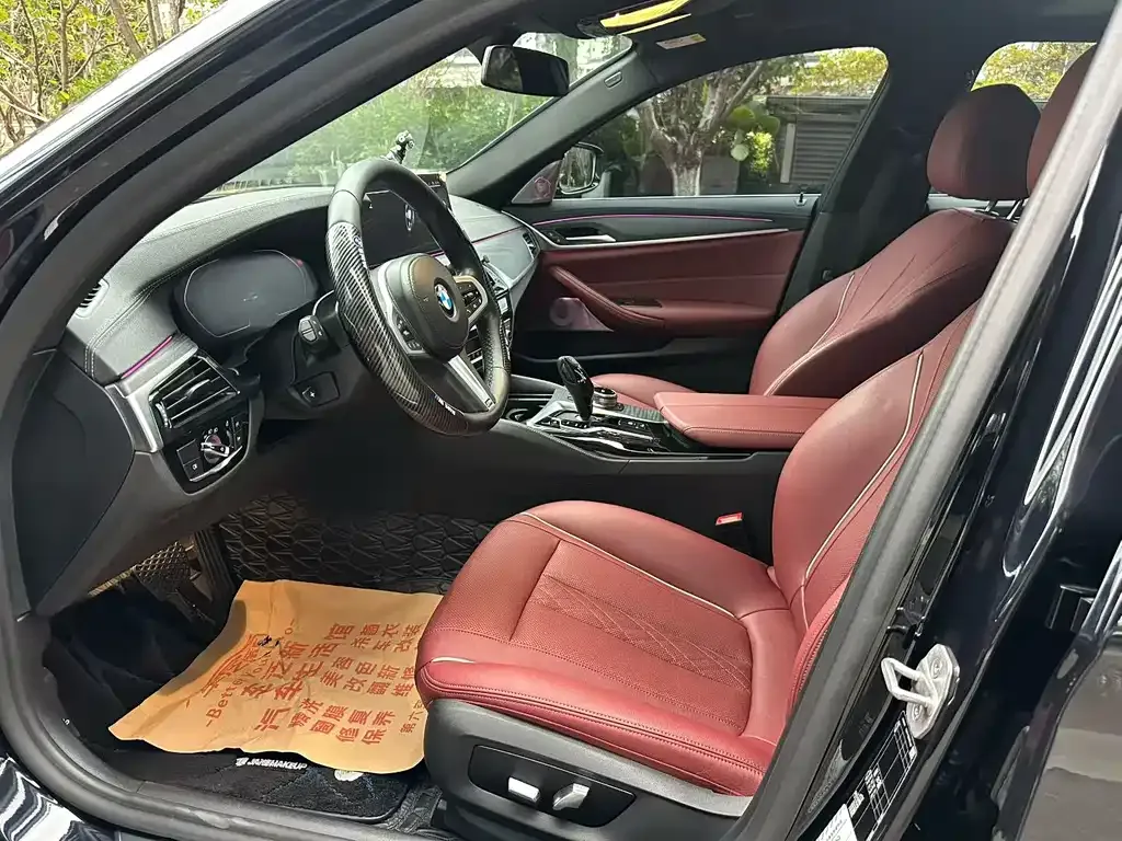 BMW 5 Series 2021 из CN, фото 4