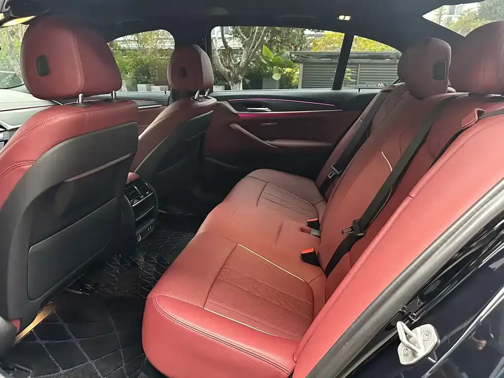 BMW 5 Series 2021 из CN, фото 5