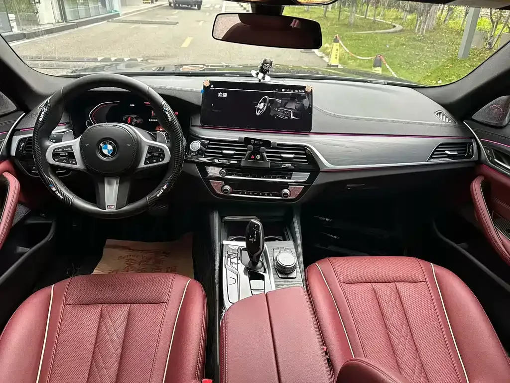 BMW 5 Series 2021 из CN, фото 6
