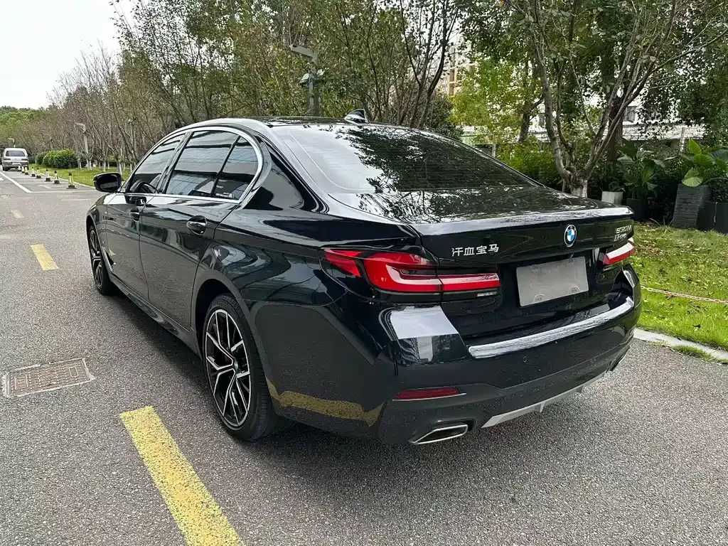 BMW 5 Series 2021 из CN, фото 7