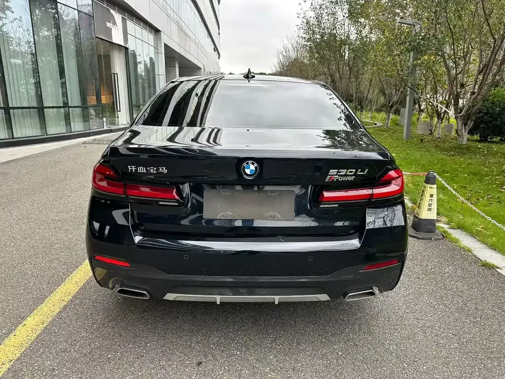 BMW 5 Series 2021 из CN, фото 8