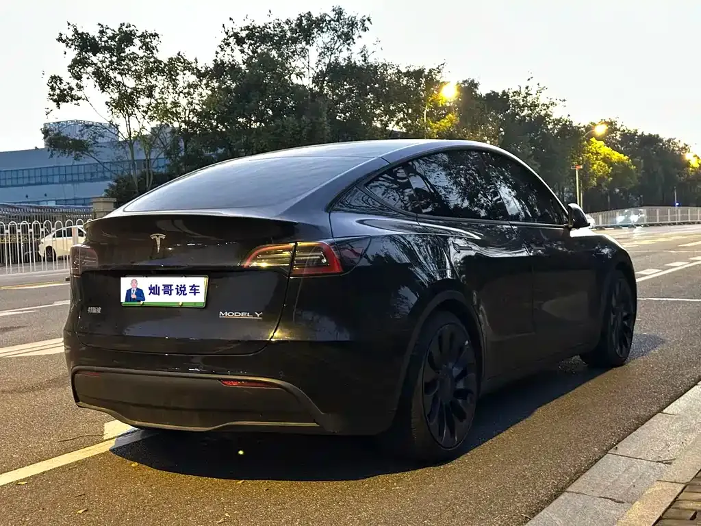 Tesla Model Y — фото 10