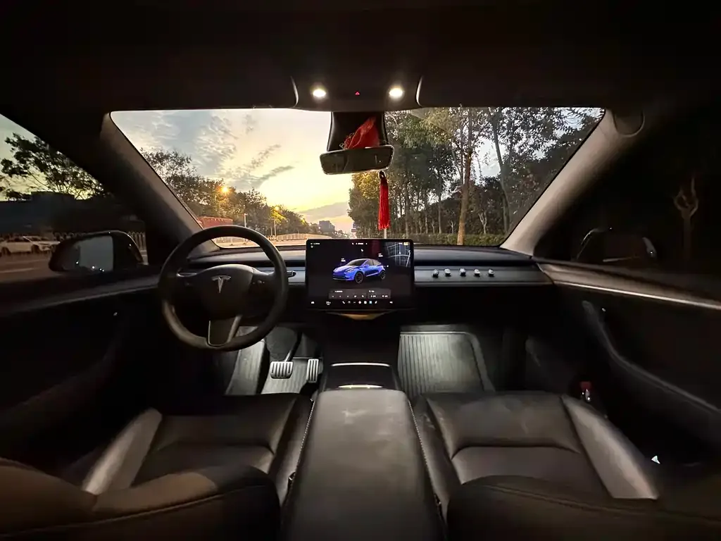 Tesla Model Y — фото 2