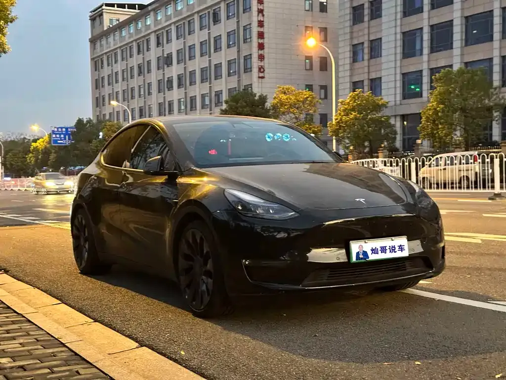 Tesla Model Y — фото 3