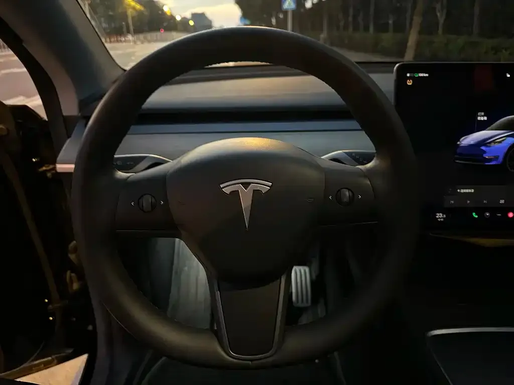 Tesla Model Y — фото 8
