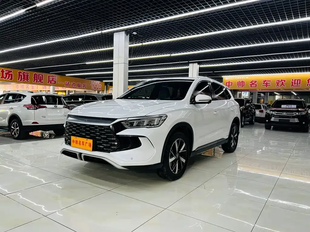 BYD Pro New Energy — фото 1