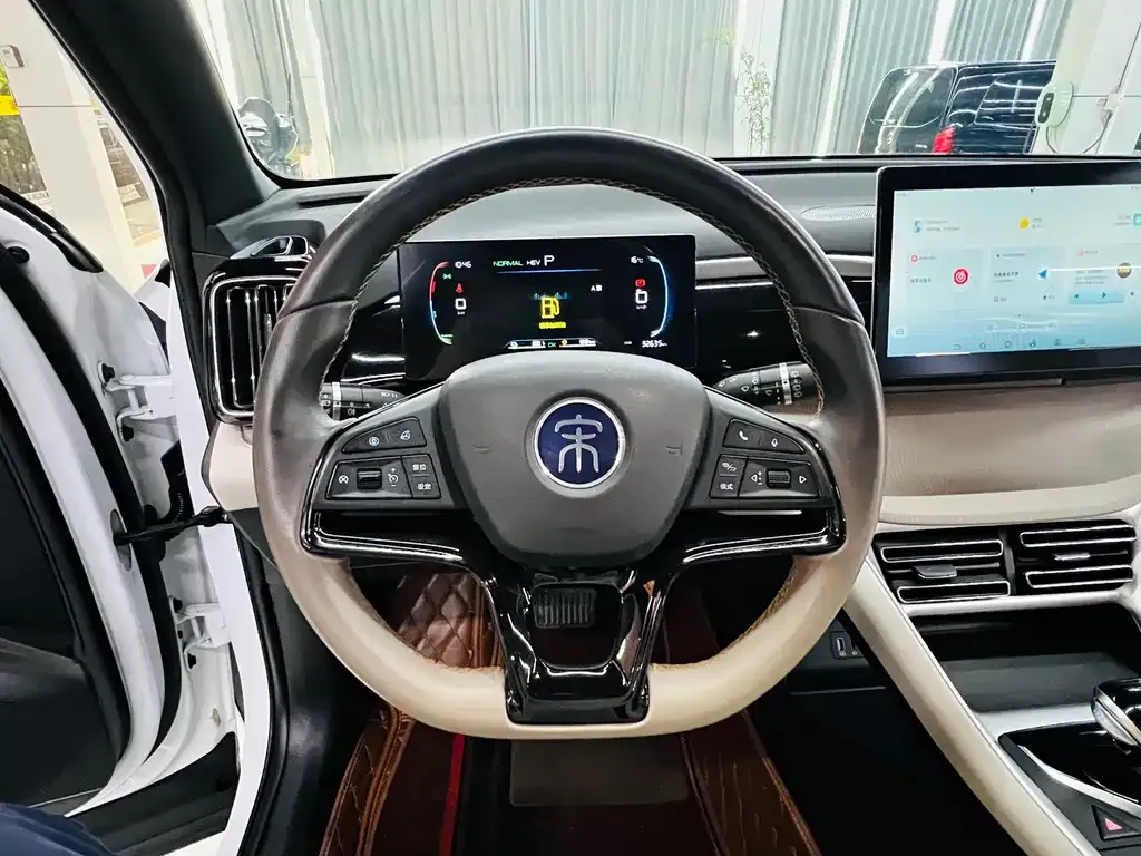 BYD Pro New Energy — фото 10