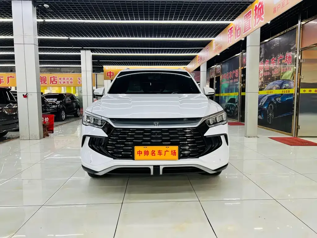 BYD Pro New Energy — фото 2