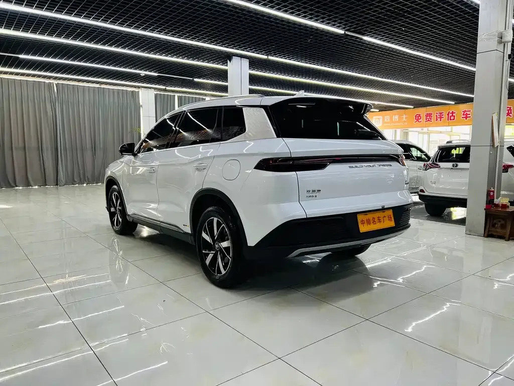 BYD Pro New Energy — фото 4