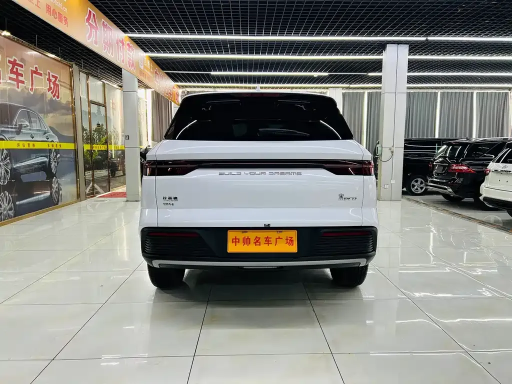 BYD Pro New Energy — фото 5