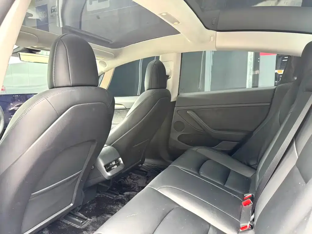 Tesla Model 3 2023 из CN, фото 5