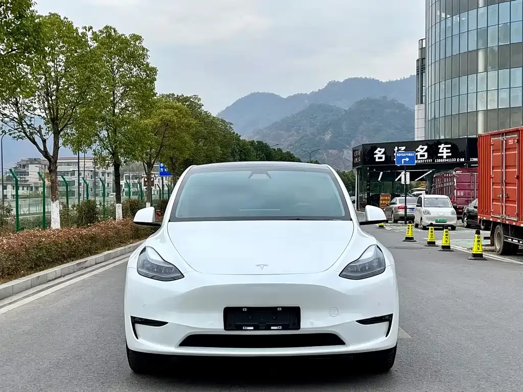 Tesla Model Y — фото 2