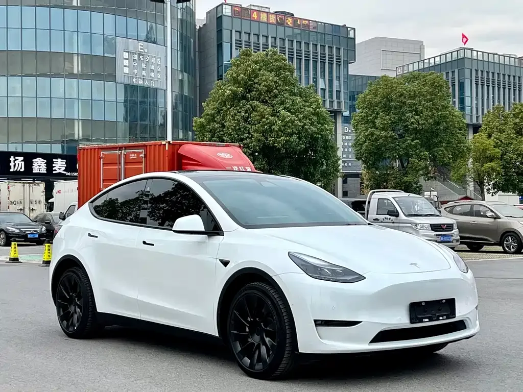 Tesla Model Y — фото 3