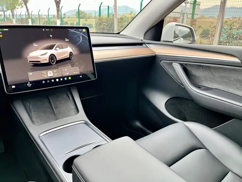 Tesla Model Y — фото 6