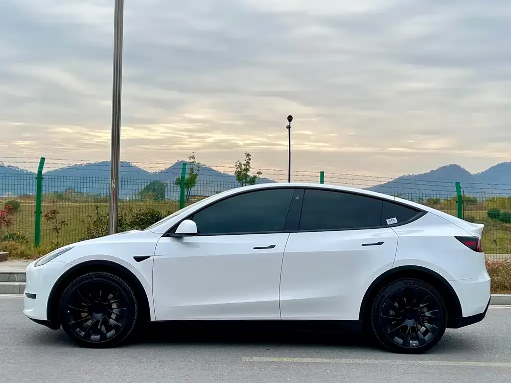 Tesla Model Y — фото 8