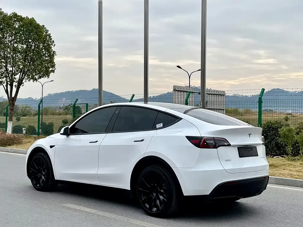 Tesla Model Y — фото 9