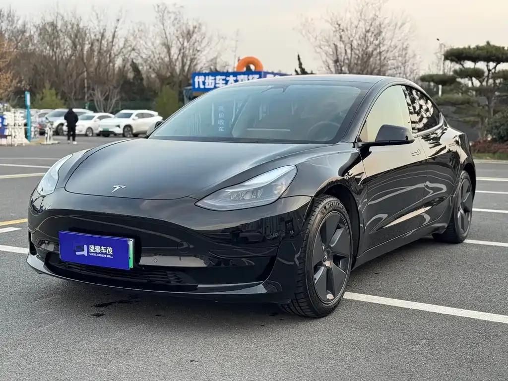 Tesla Model 3 2021 из CN, фото 1
