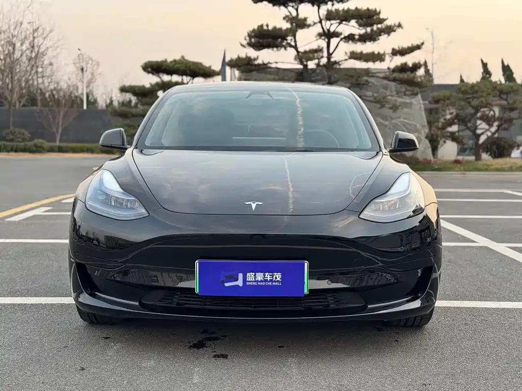 Tesla Model 3 2021 из CN, фото 2