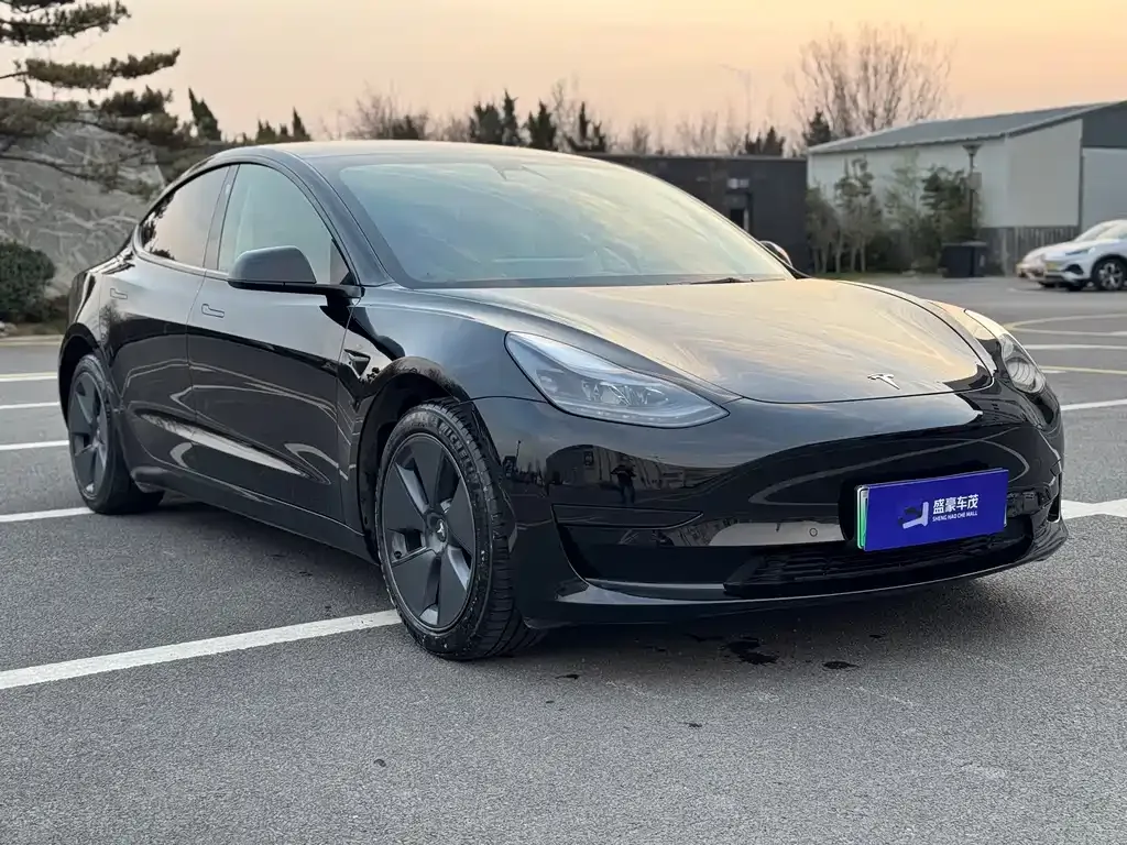 Tesla Model 3 2021 из CN, фото 3