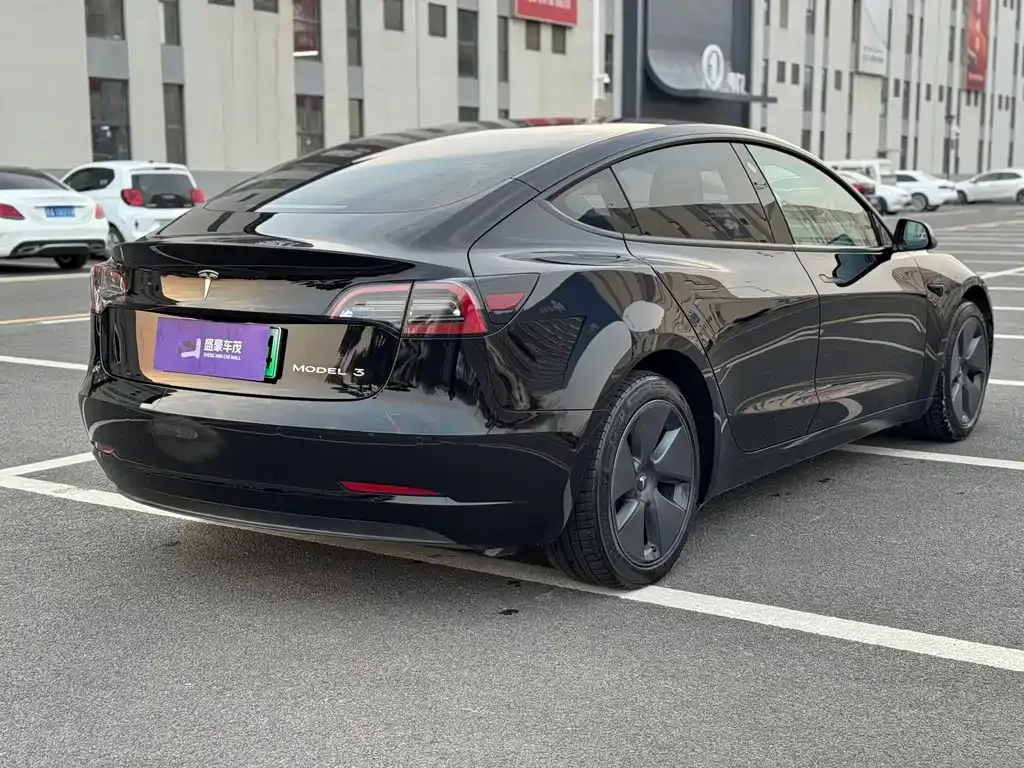 Tesla Model 3 2021 из CN, фото 7