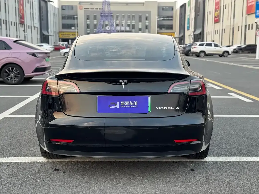Tesla Model 3 2021 из CN, фото 8