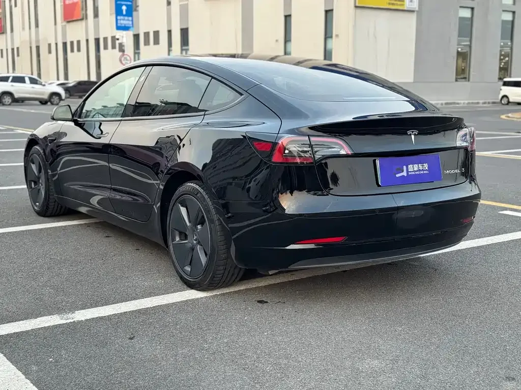 Tesla Model 3 2021 из CN, фото 9