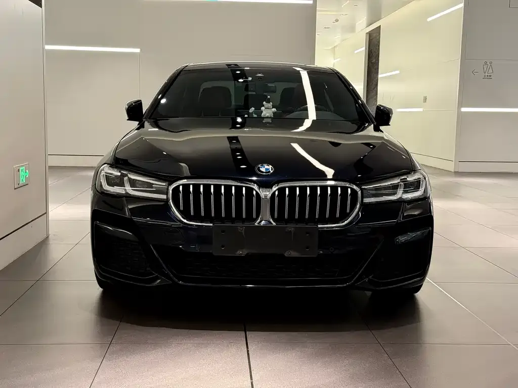 BMW 5 Series New Energy — фото 2
