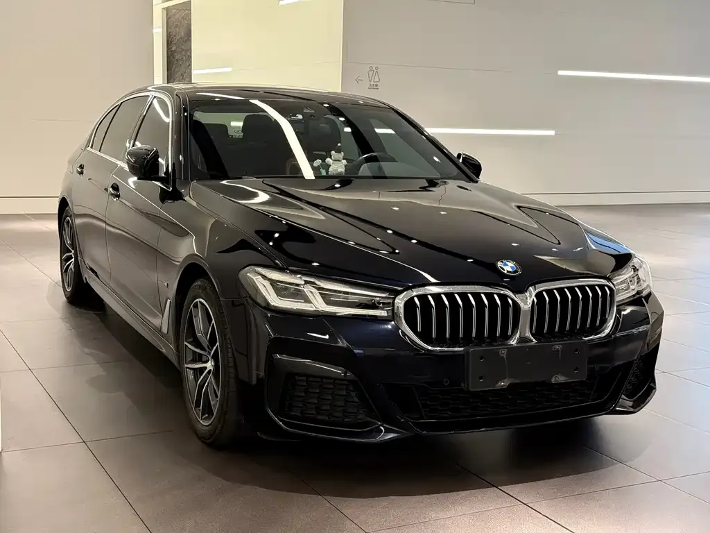 BMW 5 Series New Energy — фото 3