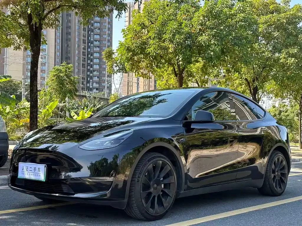 Tesla Model Y 2021 из CN, фото 1