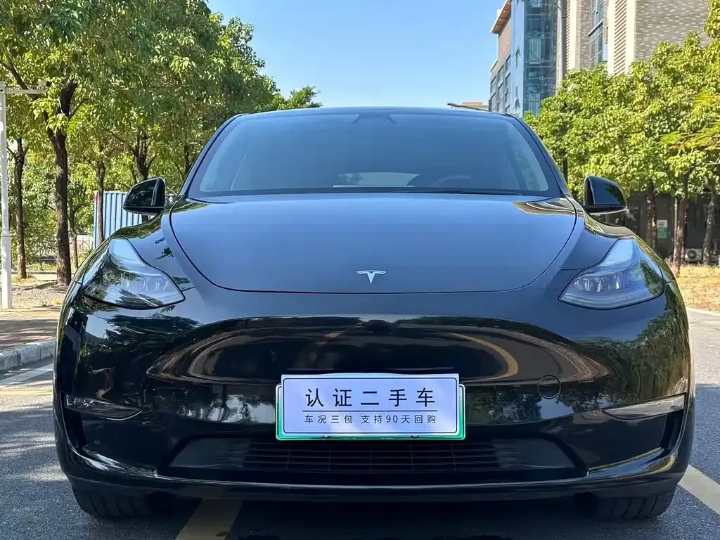 Tesla Model Y 2021 из CN, фото 2