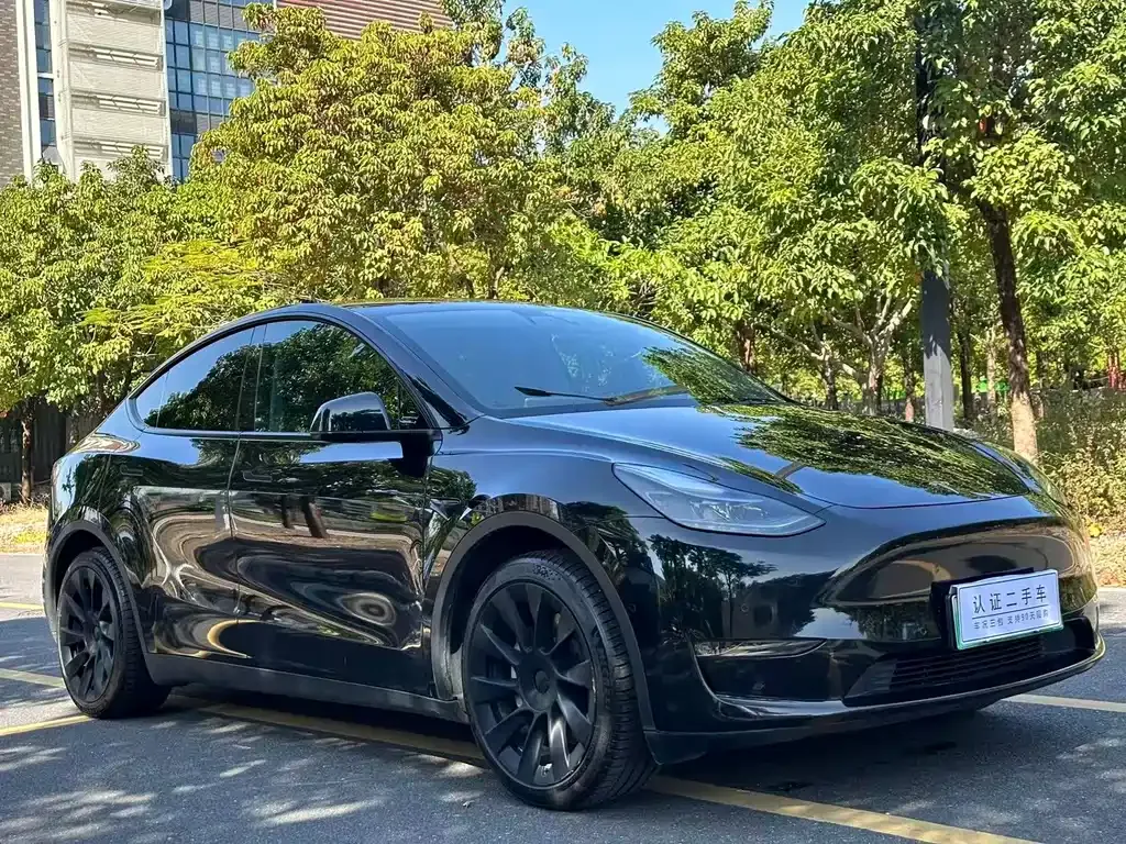 Tesla Model Y 2021 из CN, фото 3