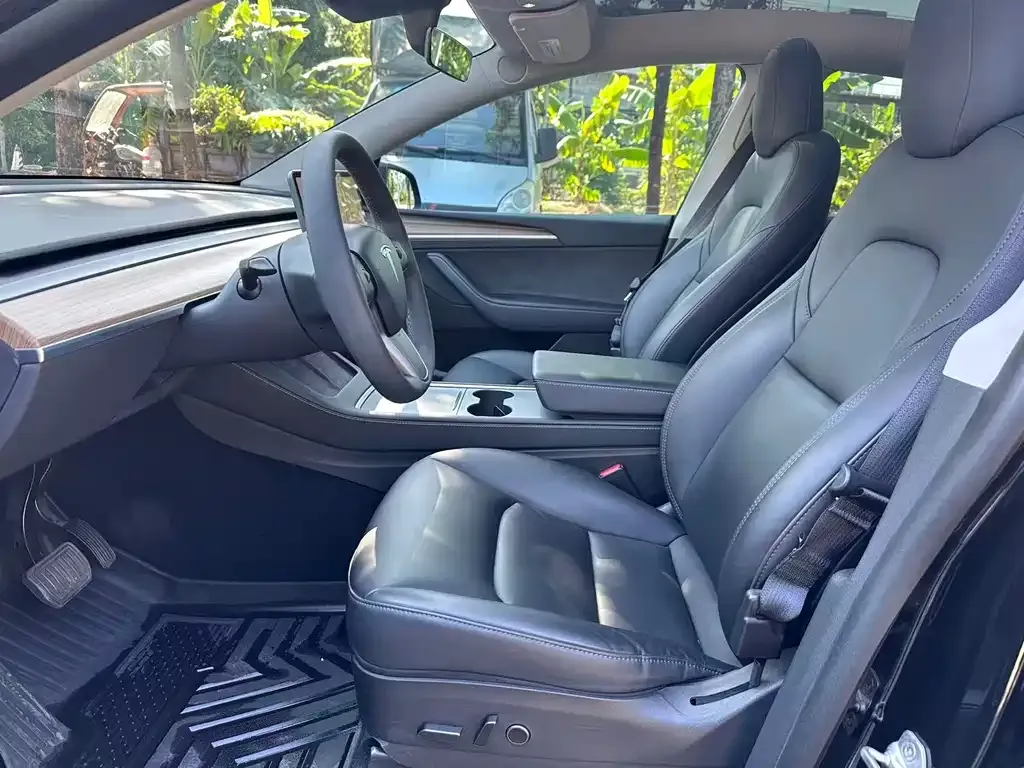 Tesla Model Y 2021 из CN, фото 4