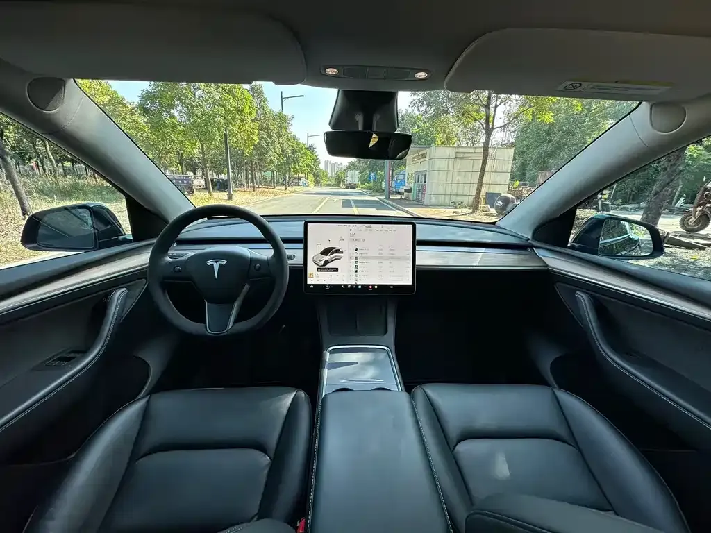 Tesla Model Y 2021 из CN, фото 5