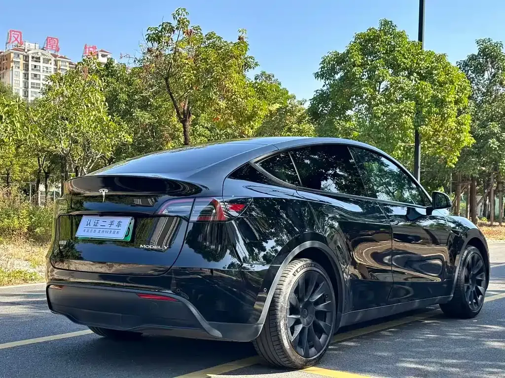 Tesla Model Y 2021 из CN, фото 7