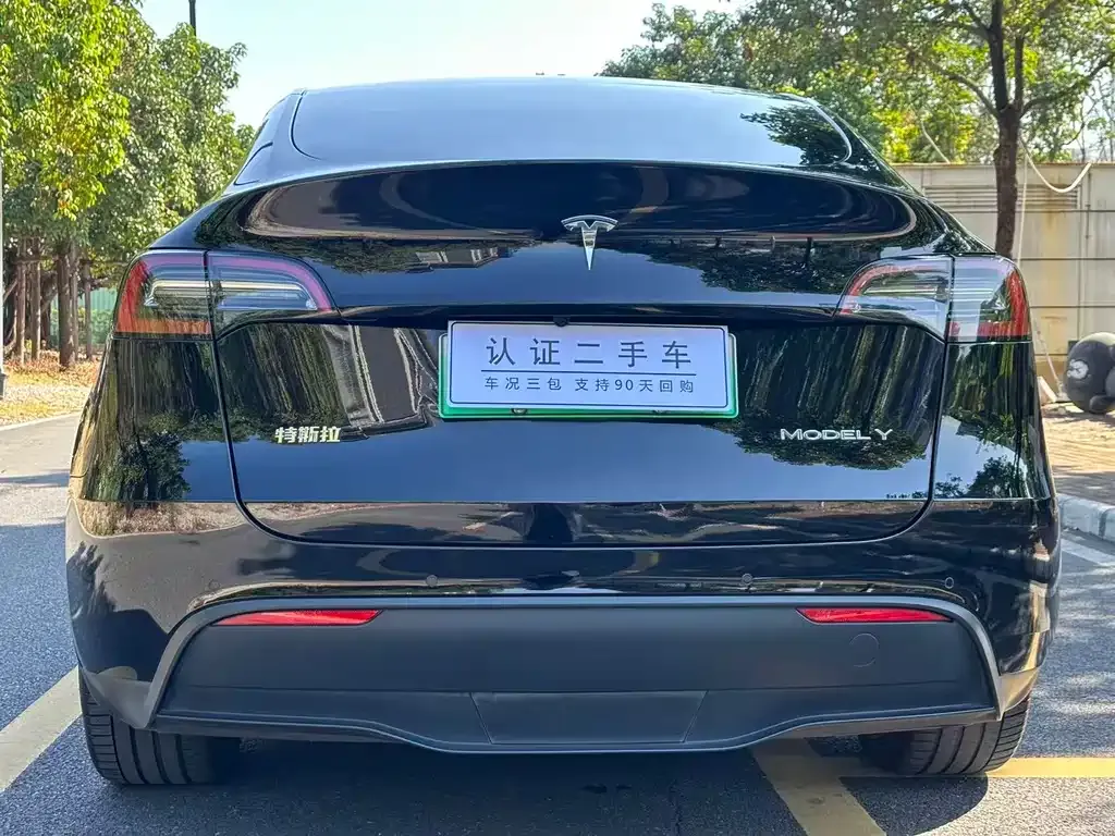 Tesla Model Y 2021 из CN, фото 8