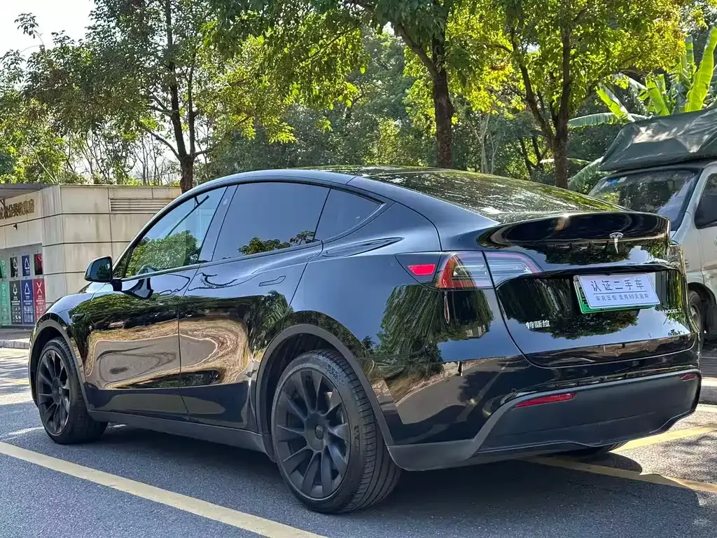 Tesla Model Y 2021 из CN, фото 9