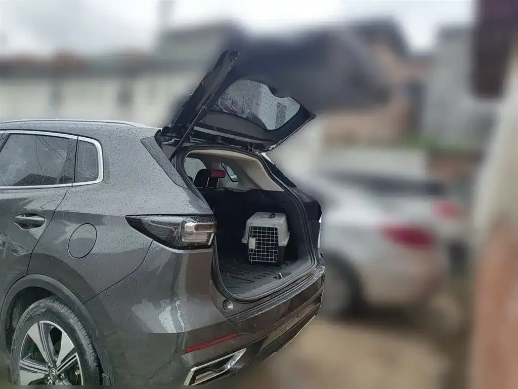 Changan CS55PLUS 2023 из CN, фото 10