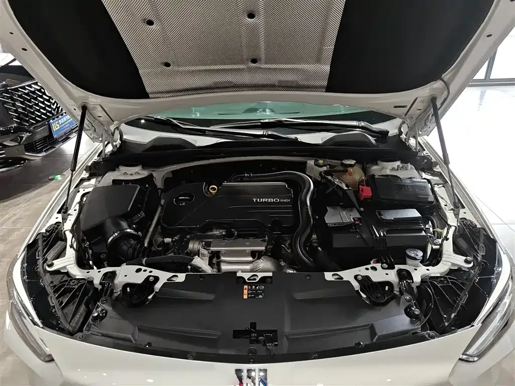 Buick Regal — фото 10