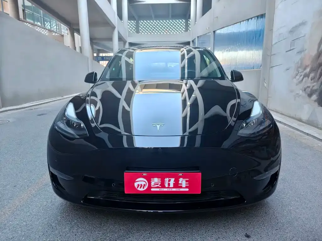 Tesla Model Y — фото 2
