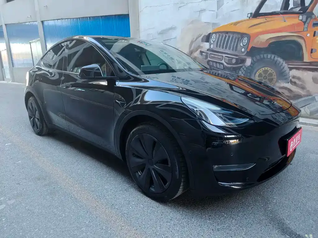 Tesla Model Y — фото 3