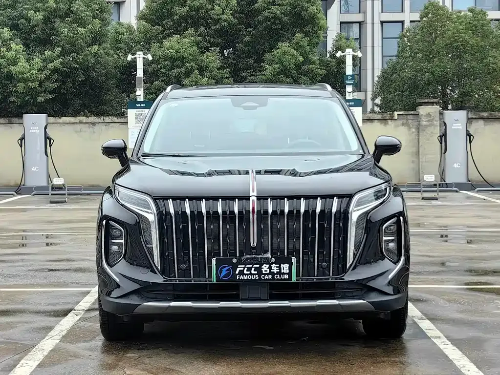 Hongqi HS7 — фото 2